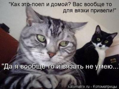 Прикрепленное изображение: Вязка.jpg